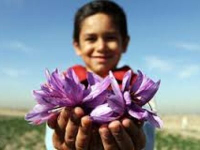 قیمت رسمی انواع زعفران ایران