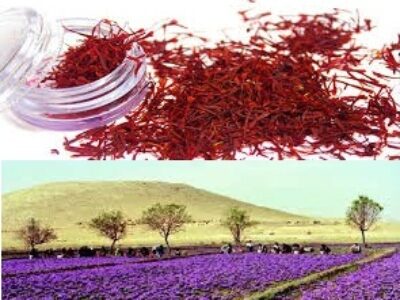 توزیع زعفران بسته بندی یک گرمی ایرانی