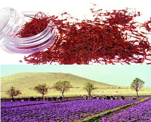 You are currently viewing توزیع زعفران بسته بندی یک گرمی ایرانی