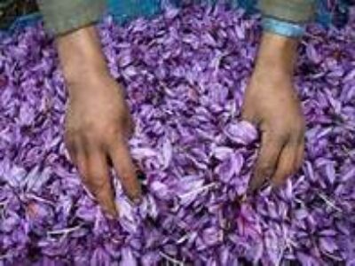 خرید زعفران پوشالی در کهگیلویه و بویراحمد