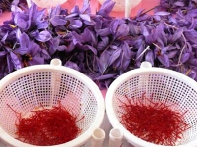 فروش زعفران پوشالی در کاشان
