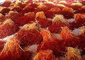You are currently viewing قیمت انواع زعفران صادراتی ایرانی