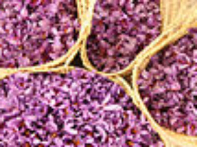 تجارت انواع زعفران صادراتی ایران