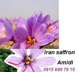 You are currently viewing آخرین قیمت زعفران در بازارهای صادراتی ایران